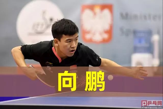 想看懂一名 想看懂一名